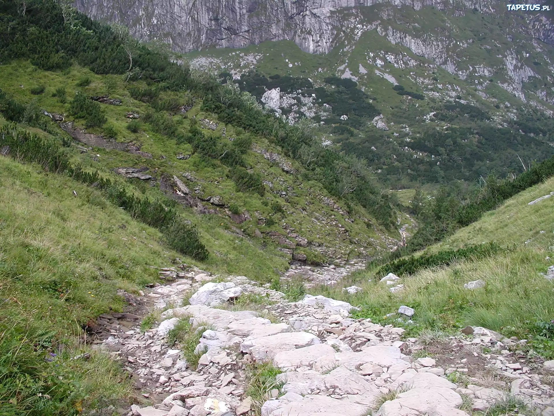Góry, Kamienie,trawa