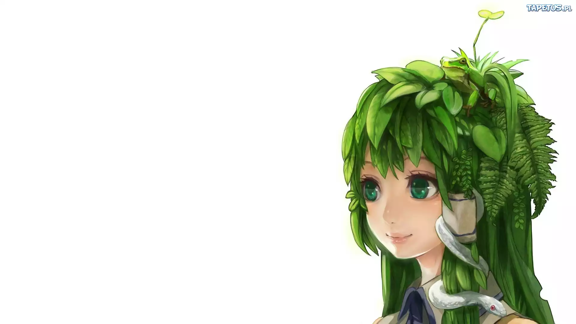 Zielonowłosa, Dziewczyna, Liście, Żaba, Wąż, Manga, Anime