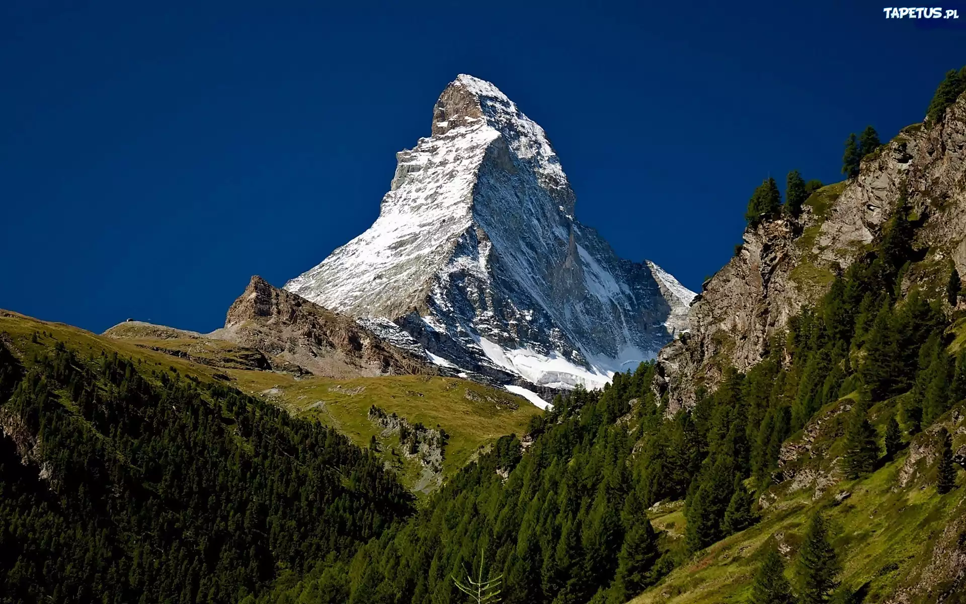 Góry, Alpy, Szczyt, Matternhorn, Lasy, Łąki
