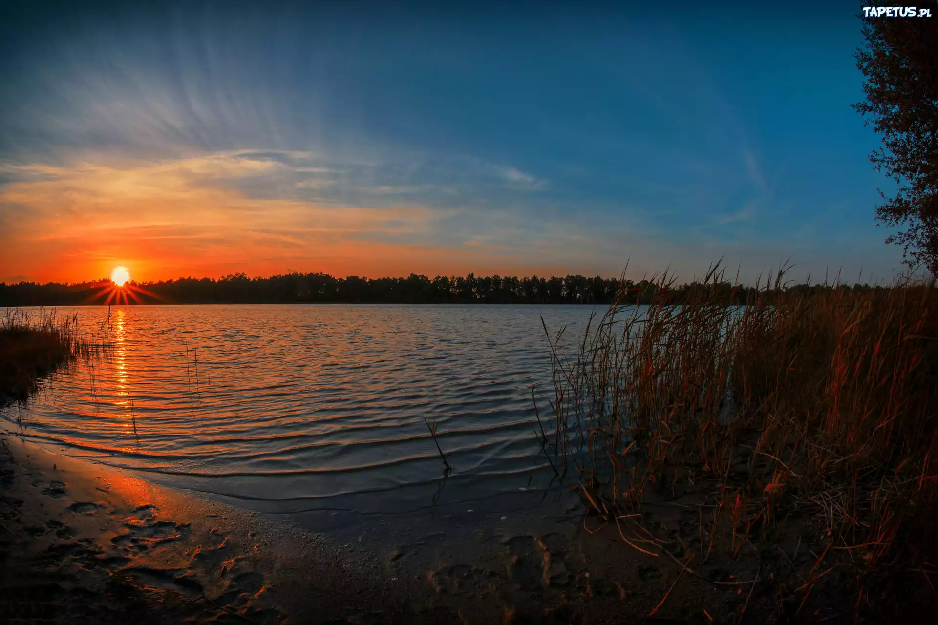 Jezioro, Zachód, Słońca, Trzciny