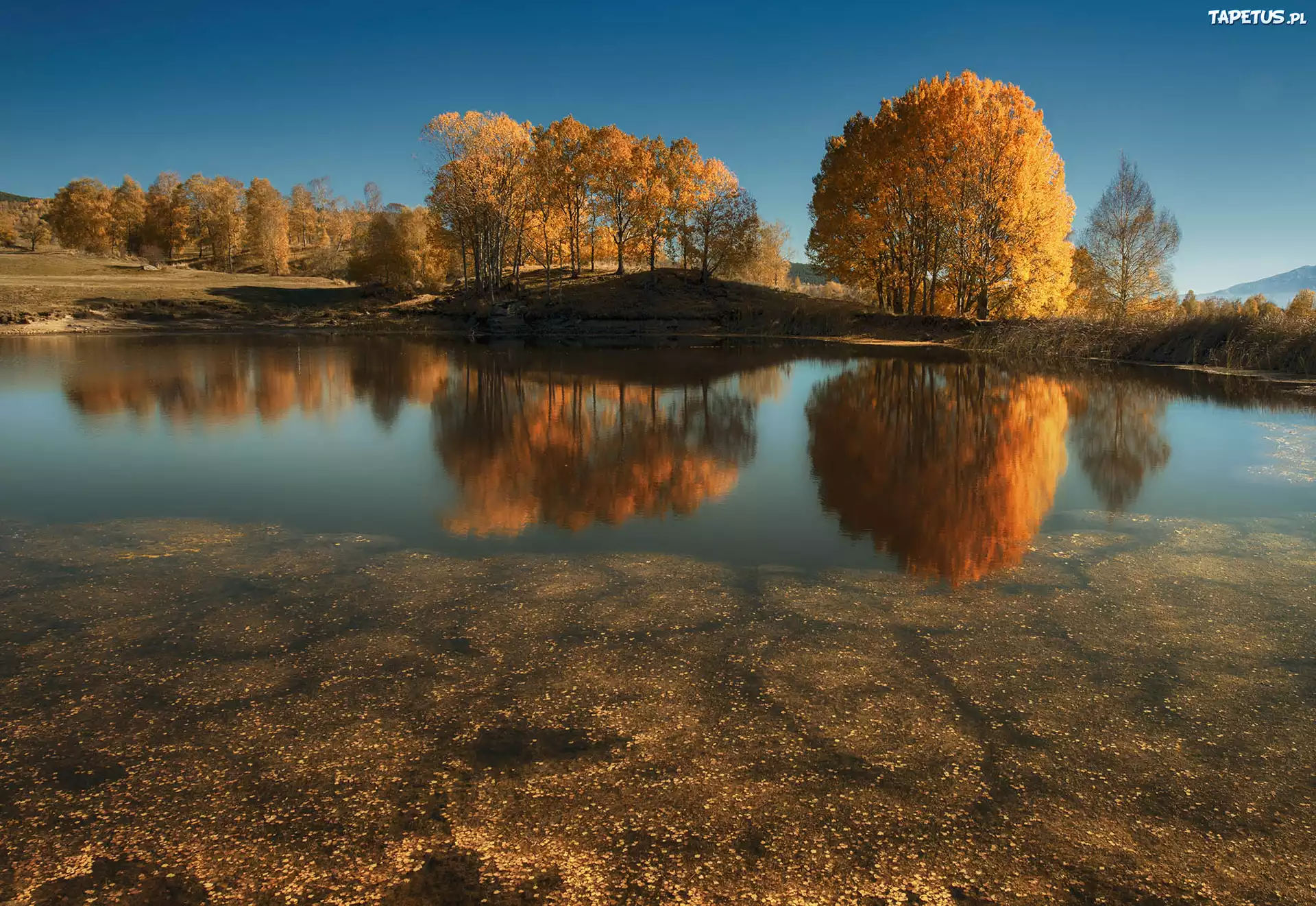 Jesień, Jezioro, Las, Drzewa