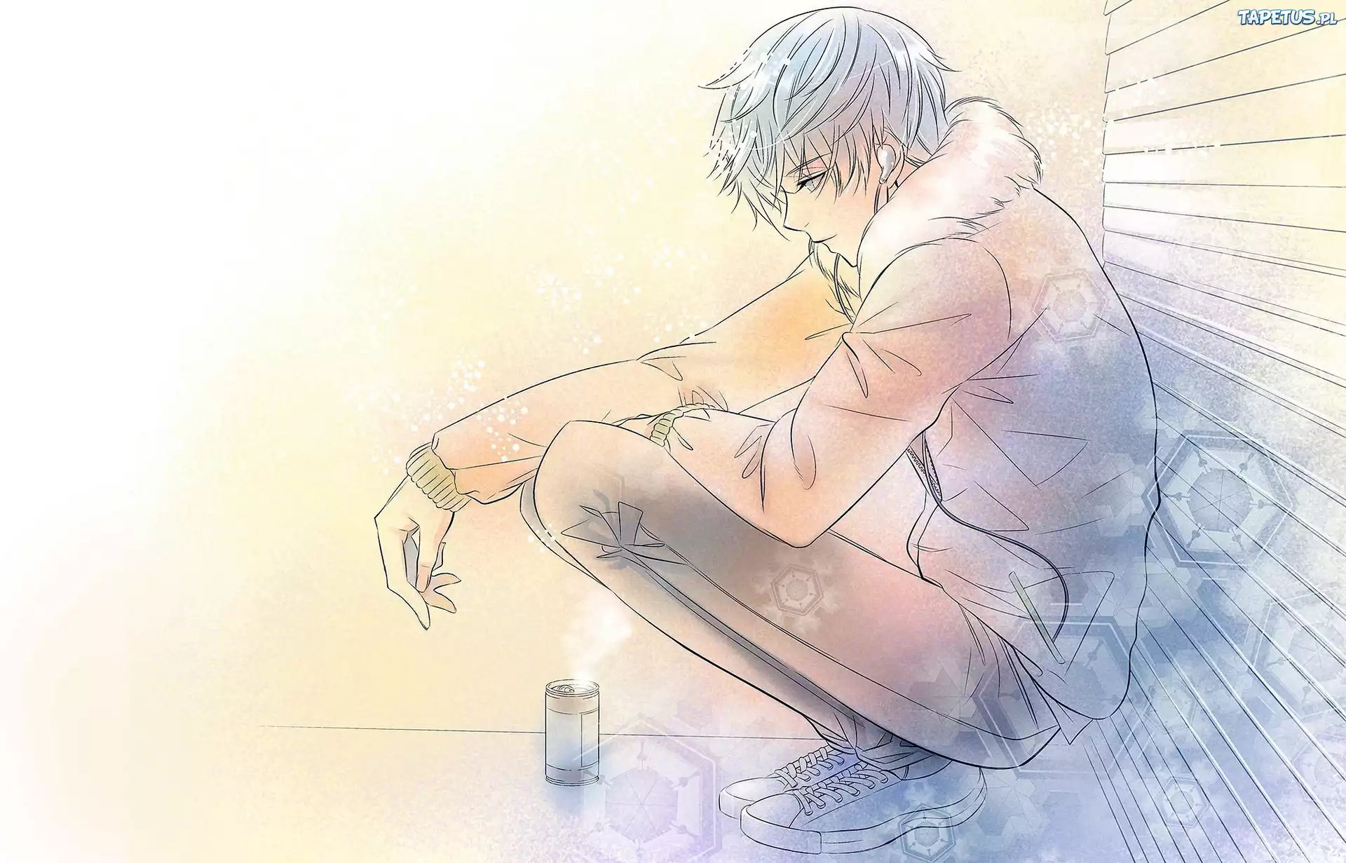 Vocaloid, Kaito
