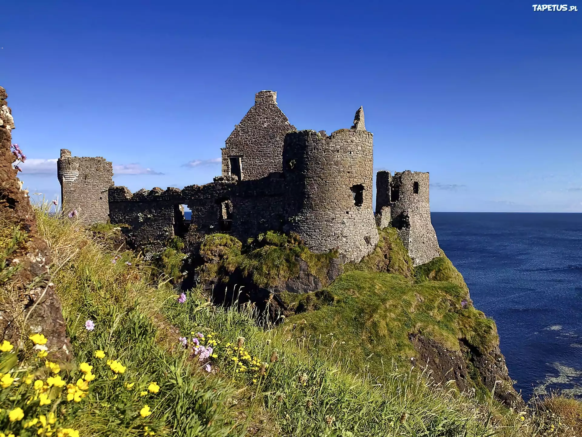 Zamek, Dunluce, Ruiny, Morze, Łąka, Irlandia, Północna