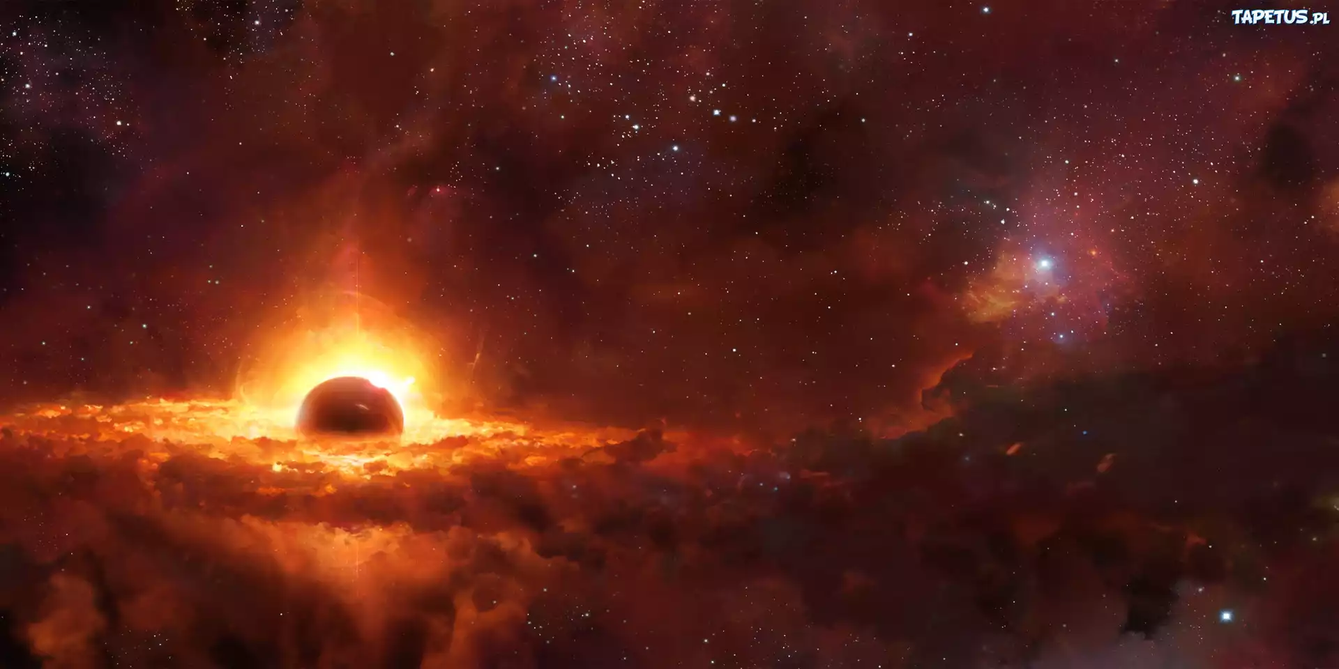 Kosmos, Gwiazdy