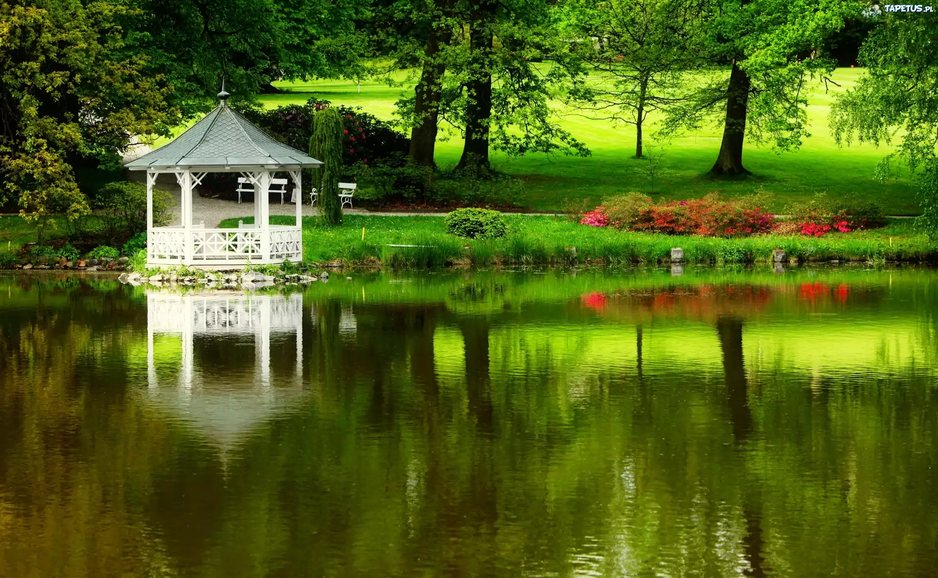Park, Staw, Altanka, Zieleń, Kwiaty