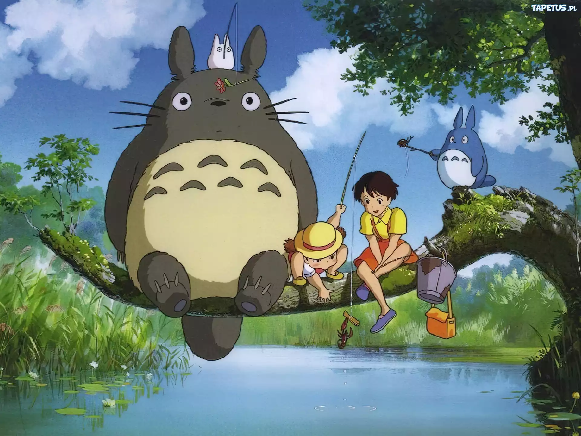 My Neighbour Totoro, jezioro, wiaderko