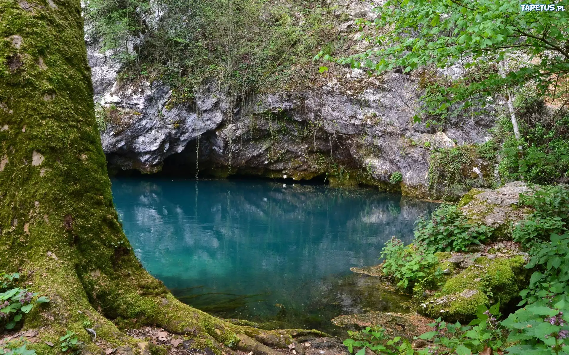 Jezioro, Góry