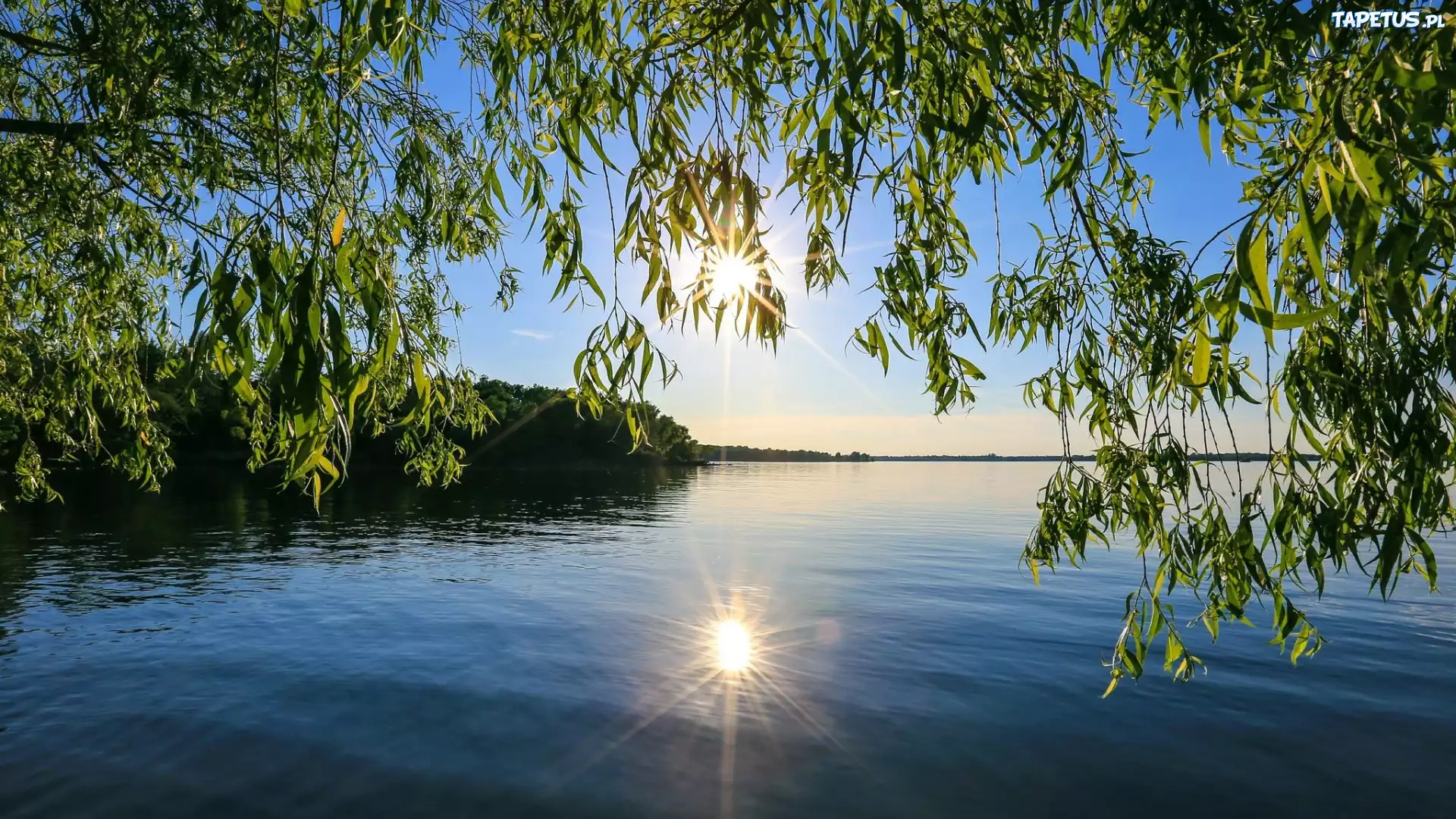 Jezioro, Las, Słońce