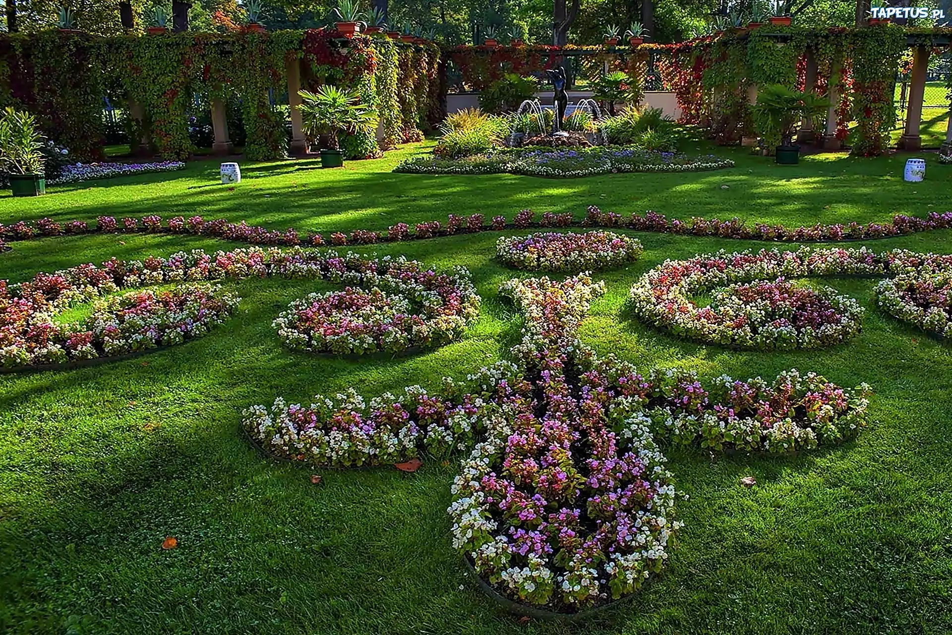 Park, Aleksandrowski, Arkada, Fontanna, Gazony, Kwiatowe, Puszkin