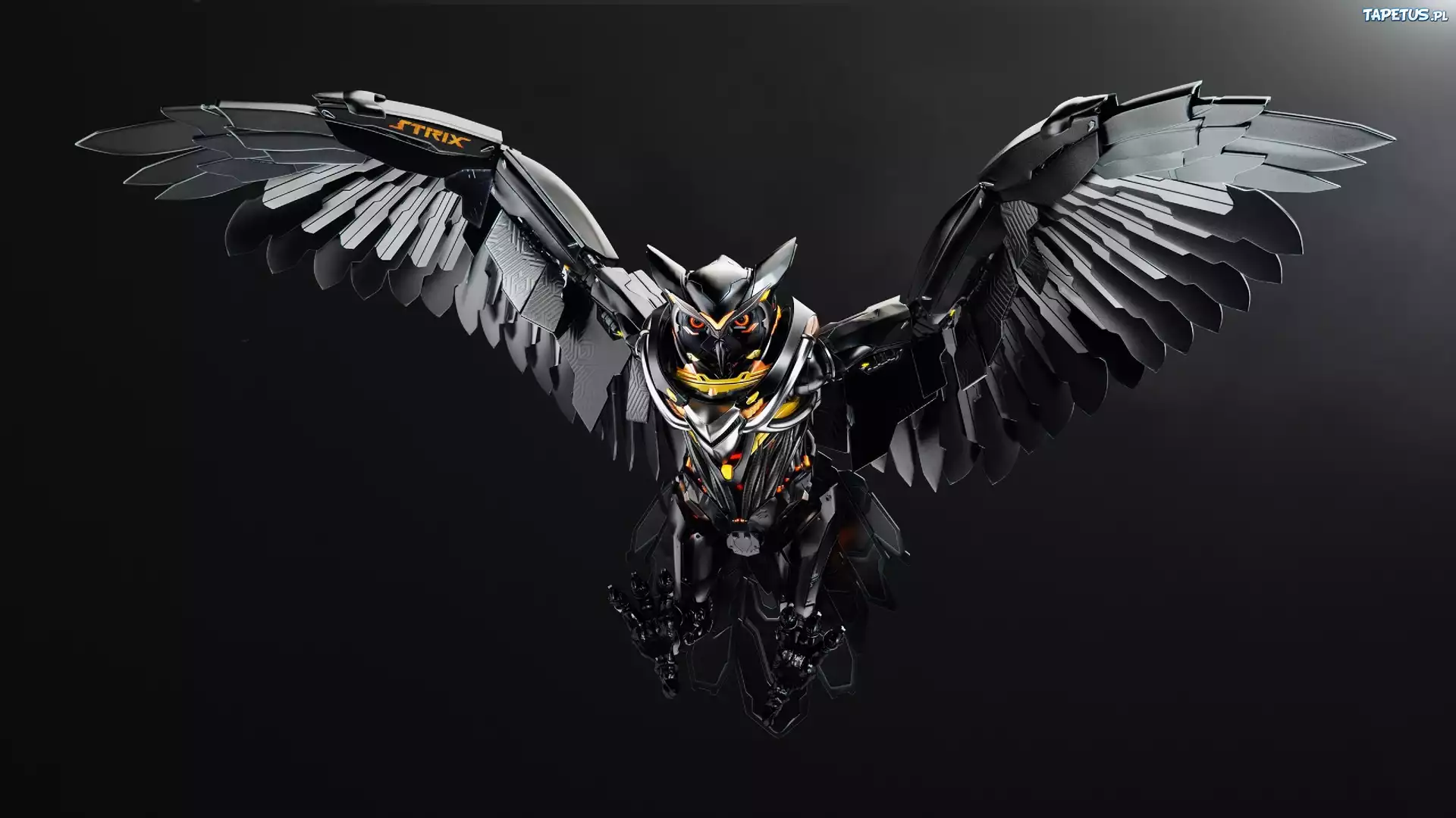 Sowa, Robotyka