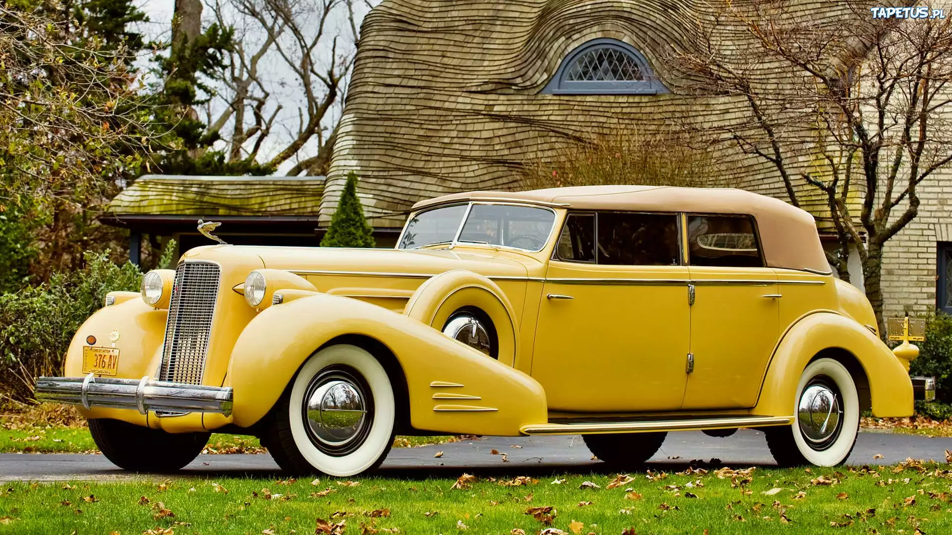 Żółty, Cadillac V16, 1930