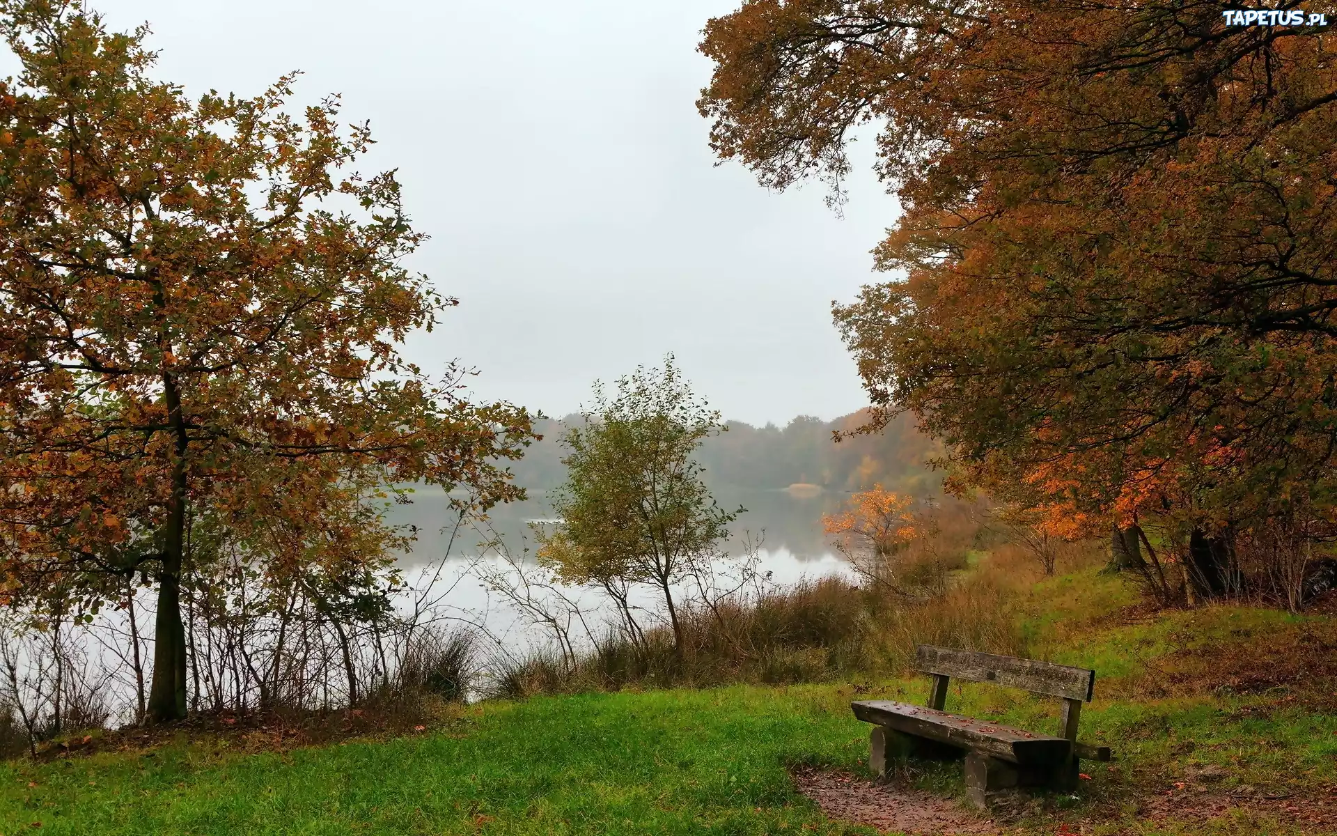 Park, Rzeka, Mgła, Ławeczka