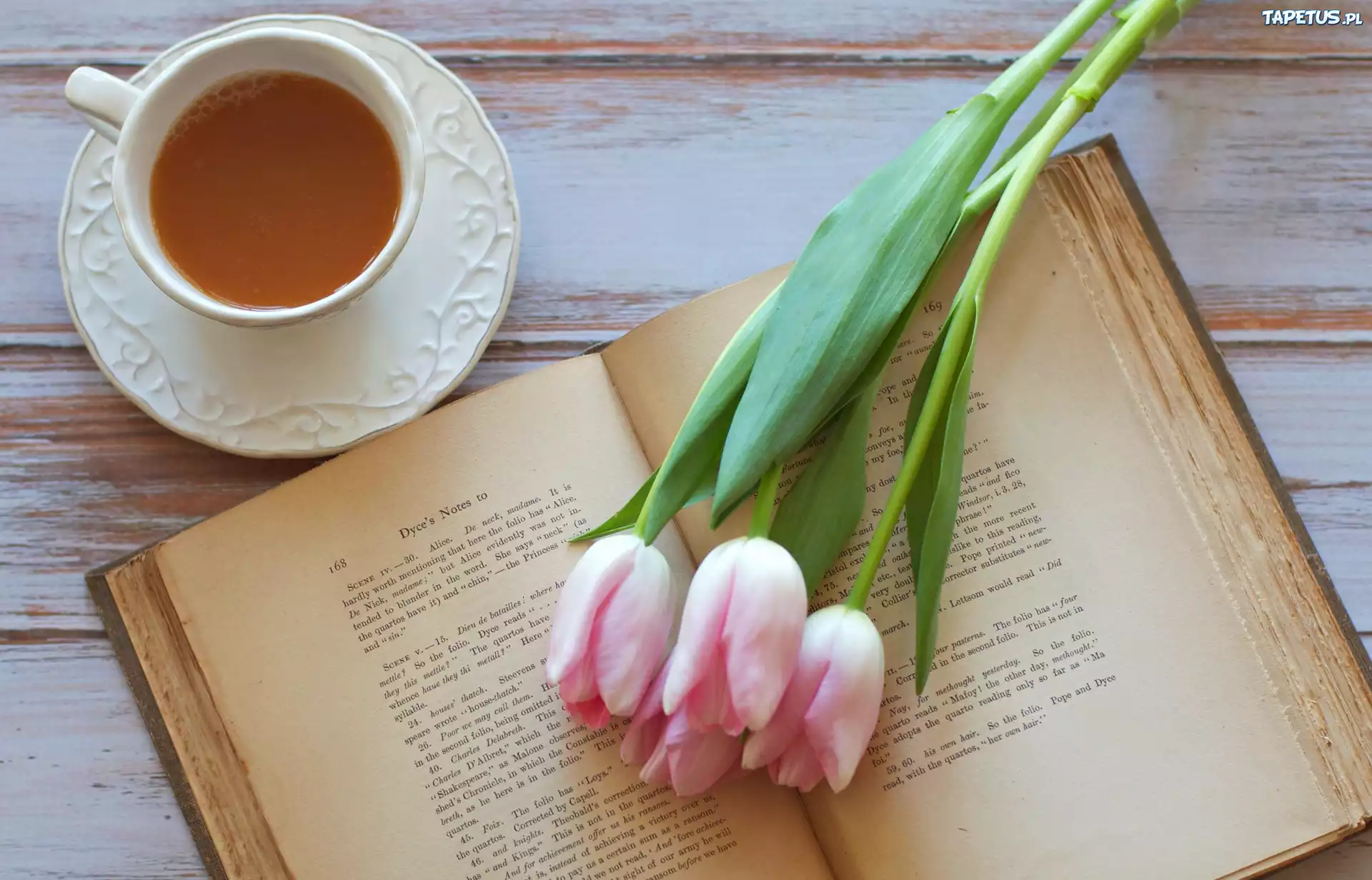 Tulipany, Filizanka, Herbata