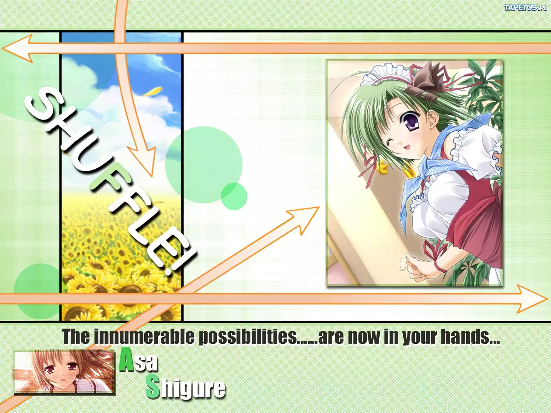 Shuffle, Asa Shigure, słoneczniki