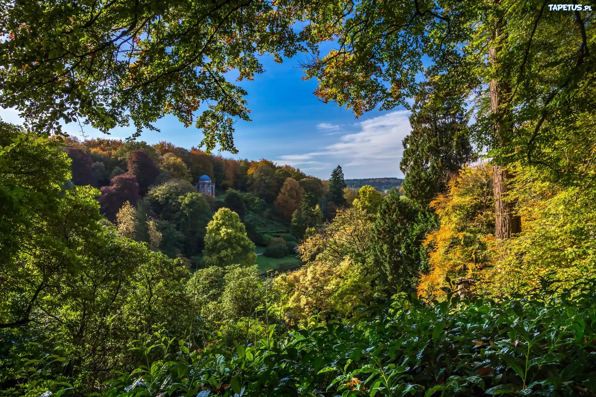 Ogród, Park, Stourhead, Anglia