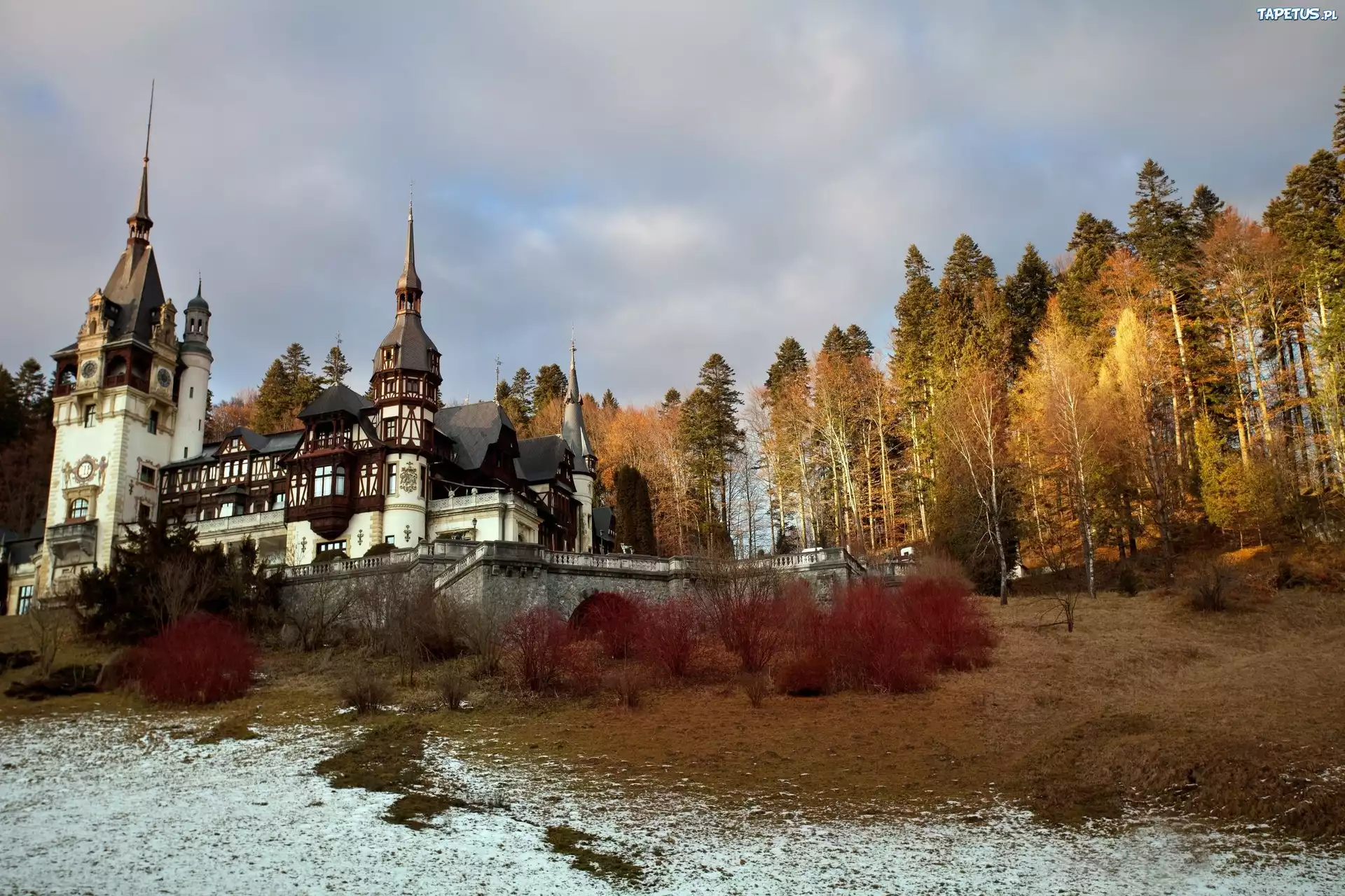 Zamek, Wzgórze, Drzewa