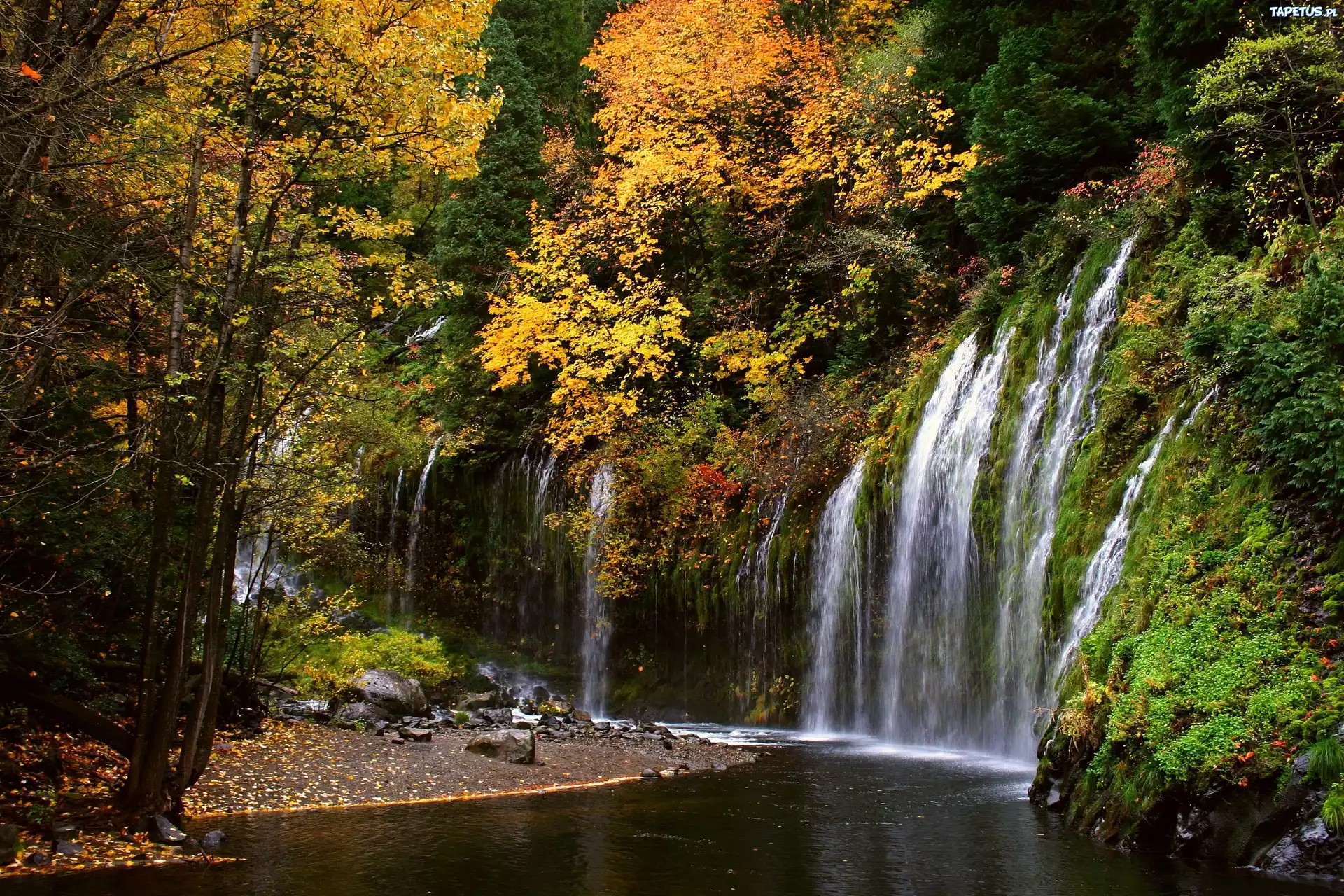 Las, Wodospad, Mossbrae Falls Kalifornia