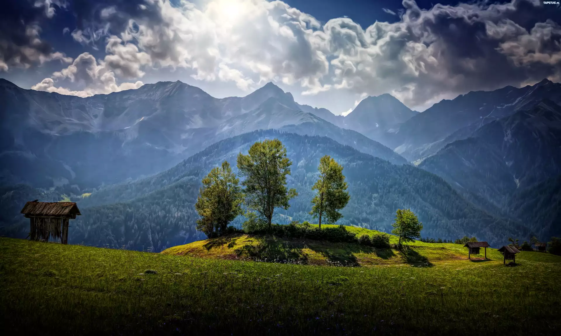 Góry, Las, Chmury, Łąka, Przebijające, Światło, Austria, HDR