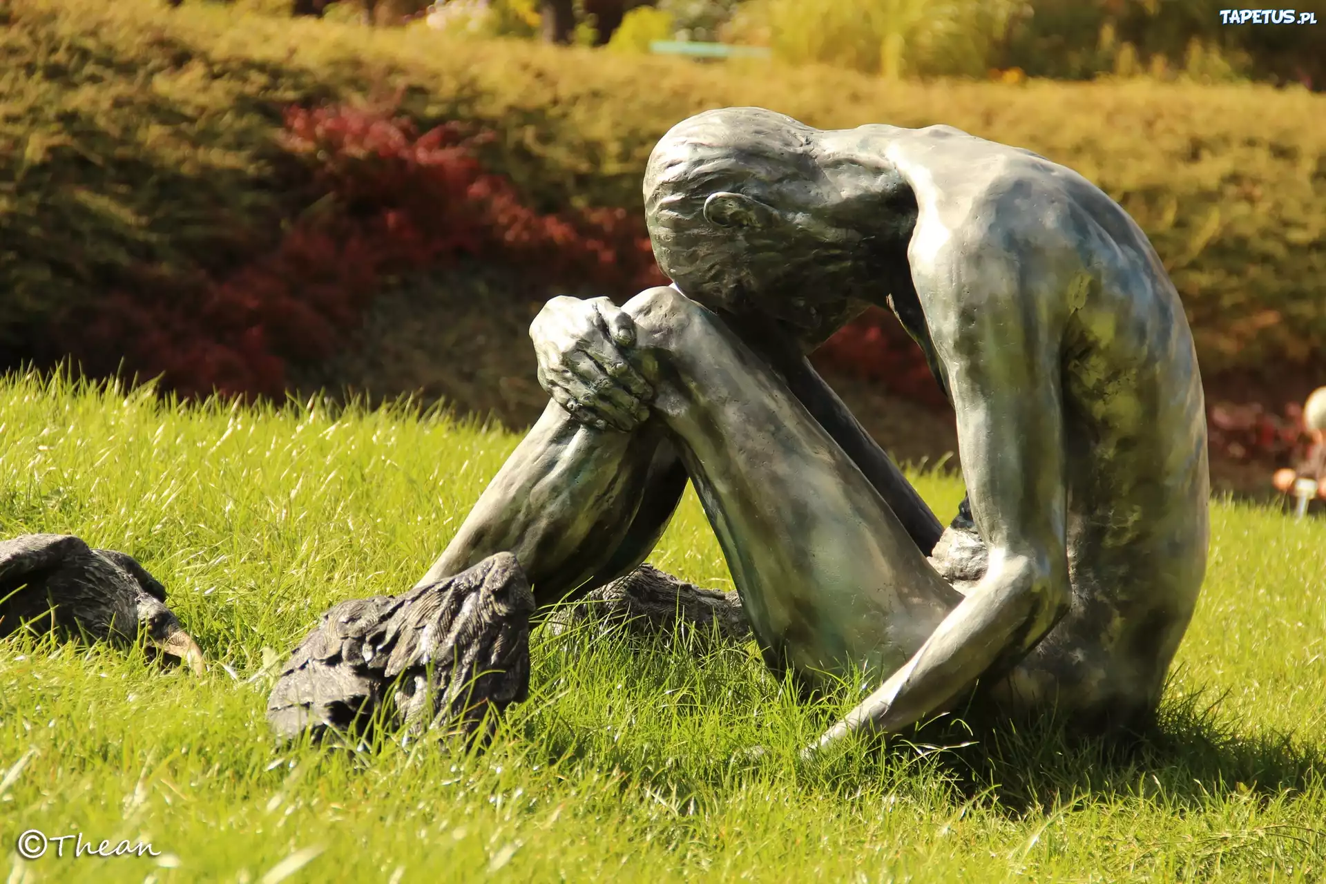 Rzeźba, Człowiek i Ptaki, Ogród Botaniczny, Poznań
