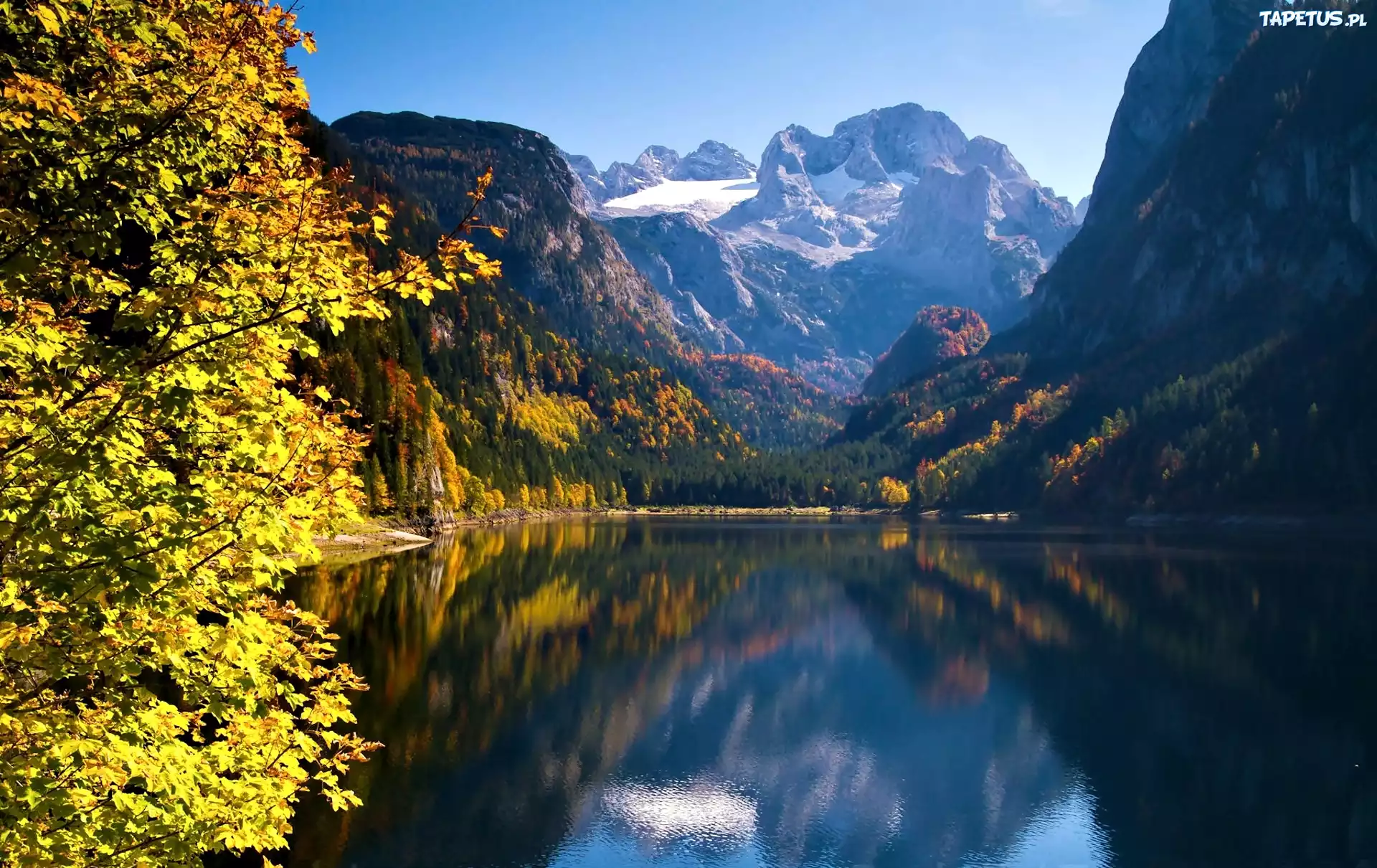 Jezioro, Góry, Lasy, Jesień, Gosau, Austria