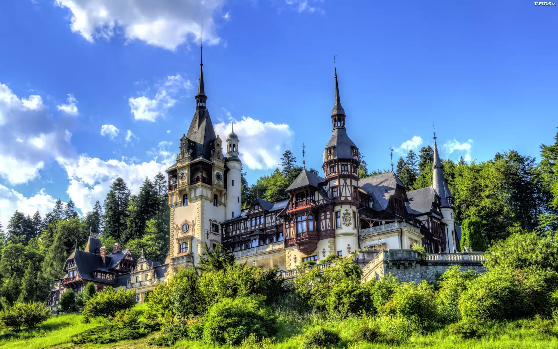 Zamek