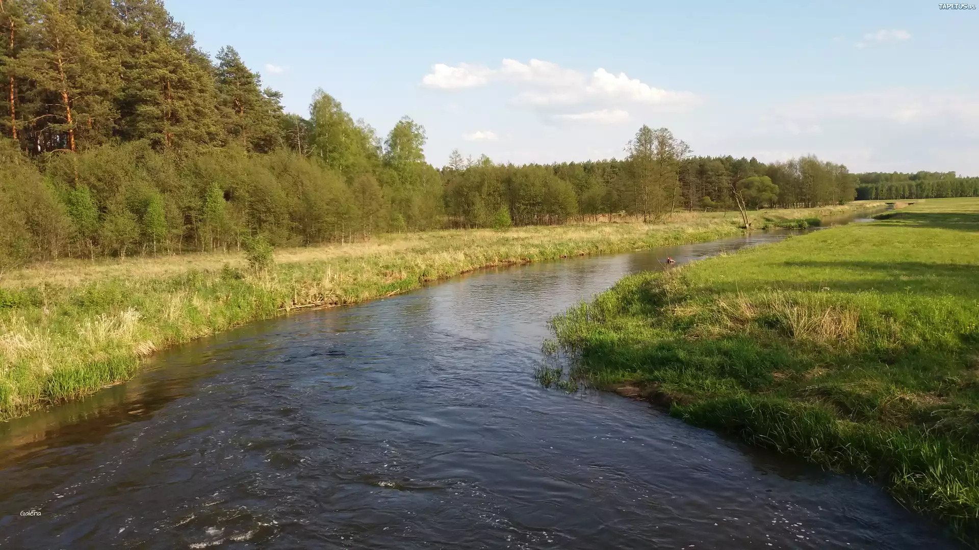 Rzeka, Pola