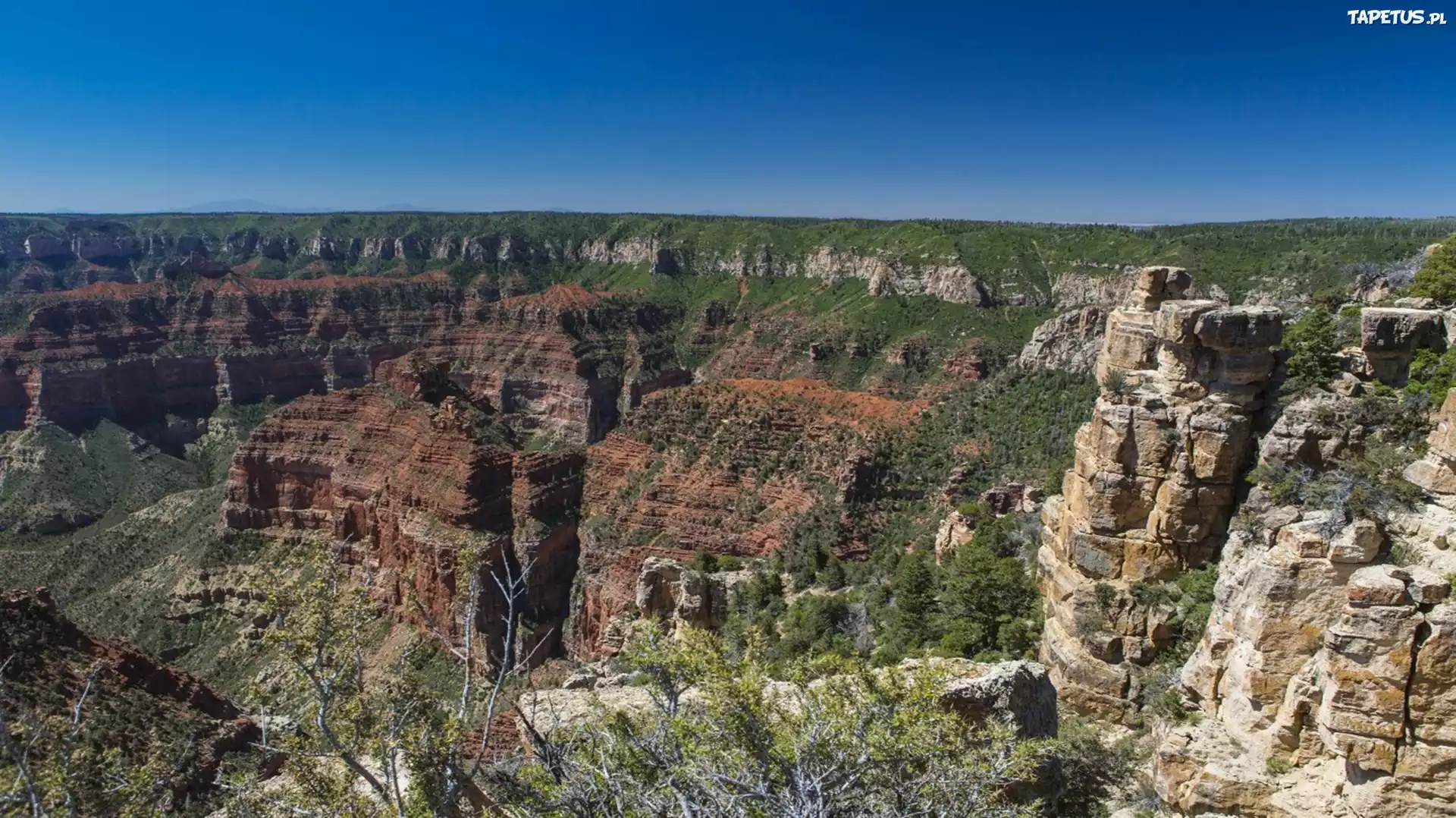 Kanion, Arizona, USA, Park