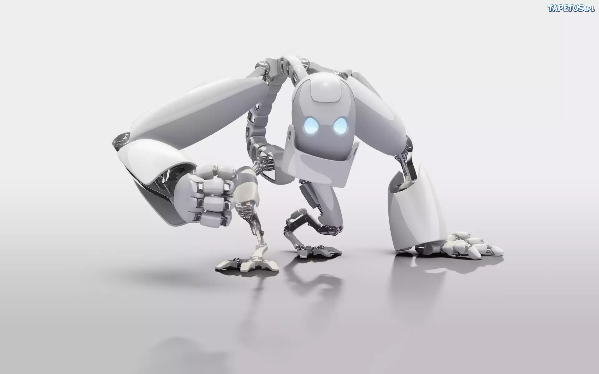 Biały, Robot, 3D