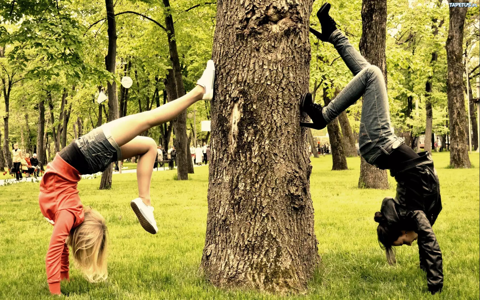 Park, Dwie, Kobiety, Stójka, Na, Rękach