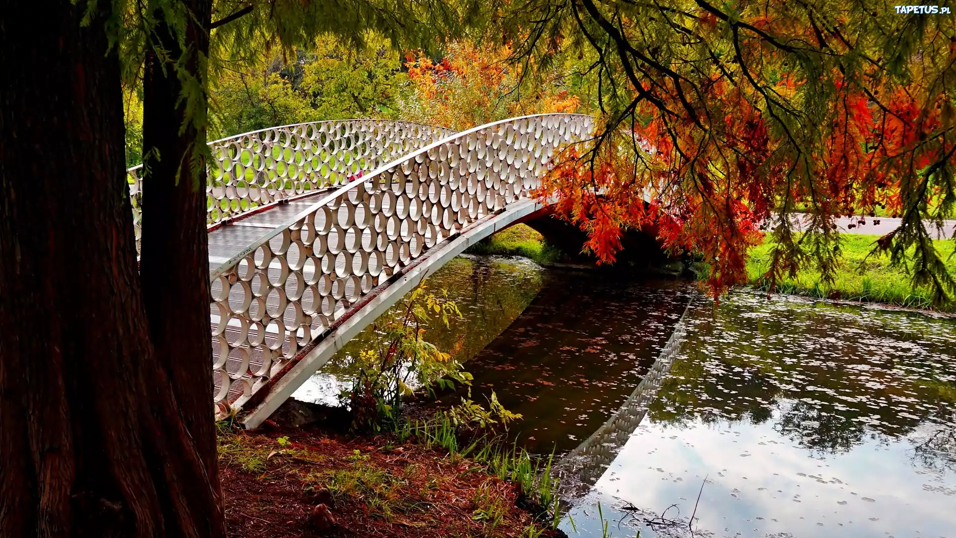 Park, Rzeka, Mostek