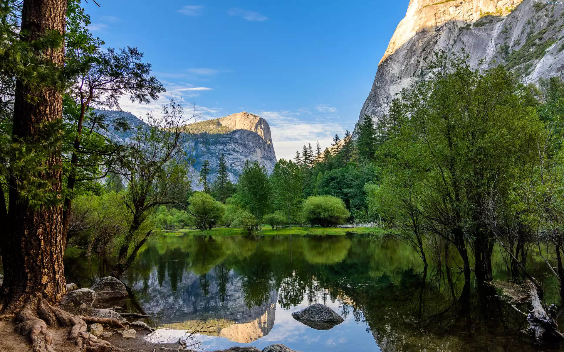 Góry, Rzeka, Drzewa, Park, Narodowy, Yosemite, Kalifornia, USA