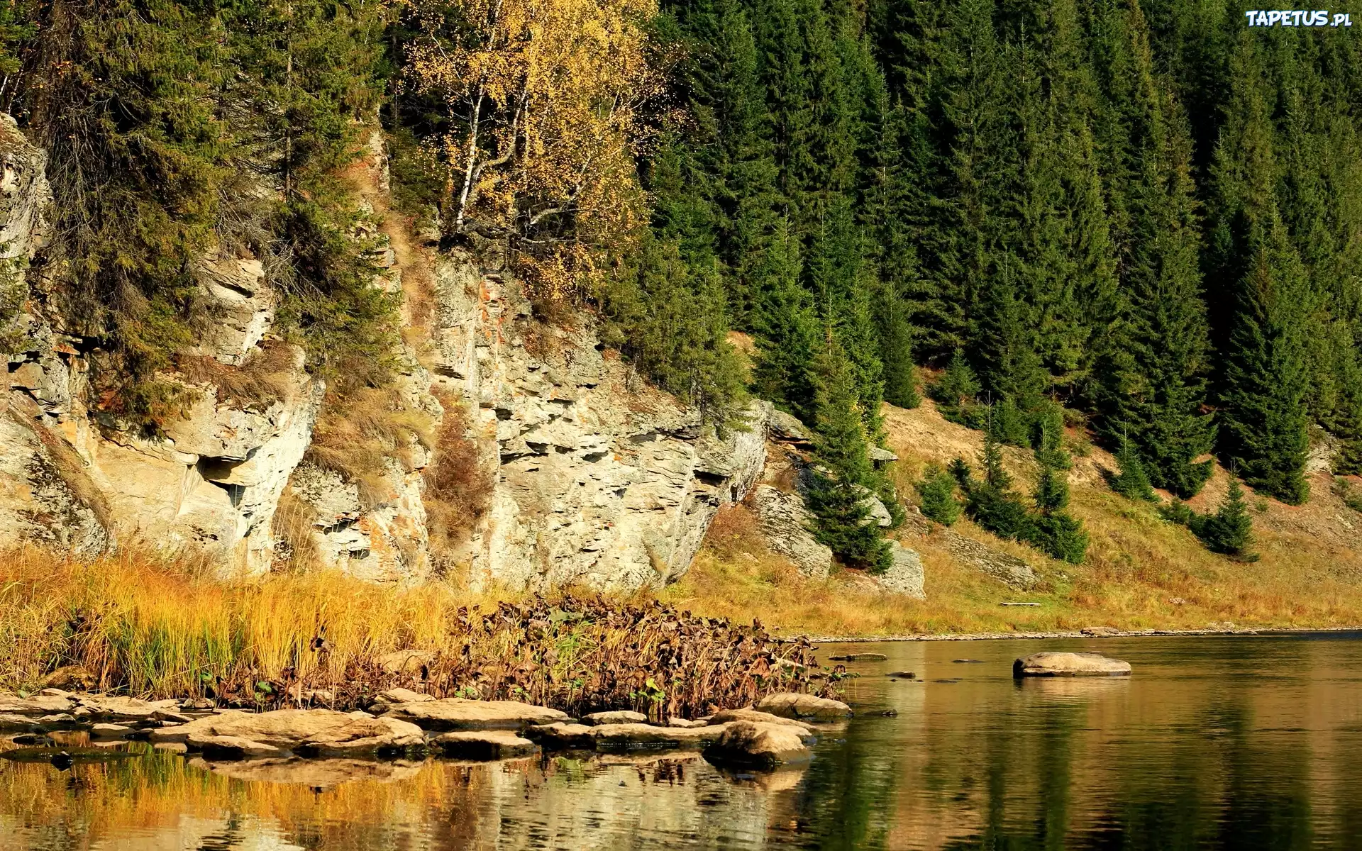 Góry, Las, Rzeka
