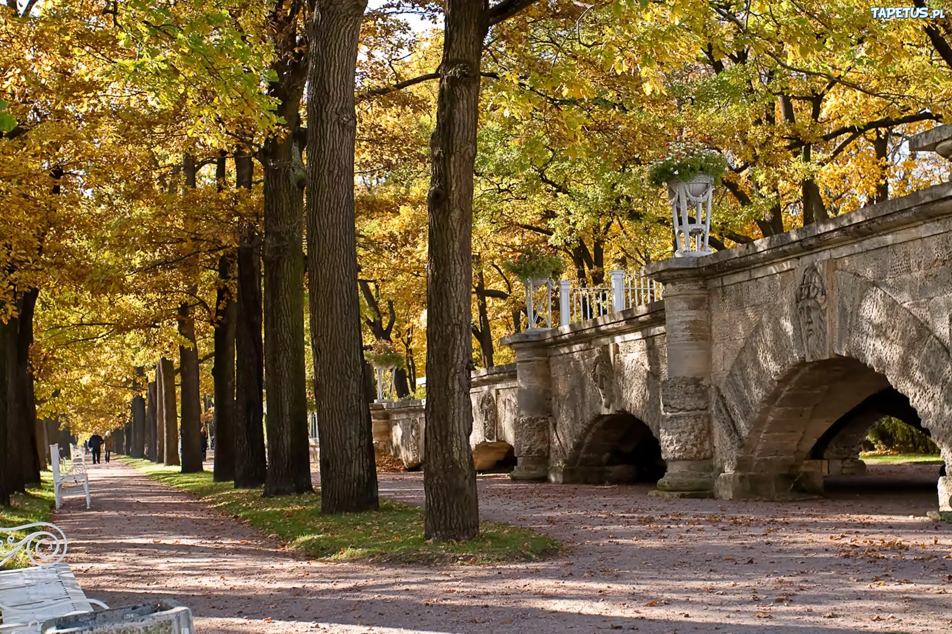 Jesień, Park, Most