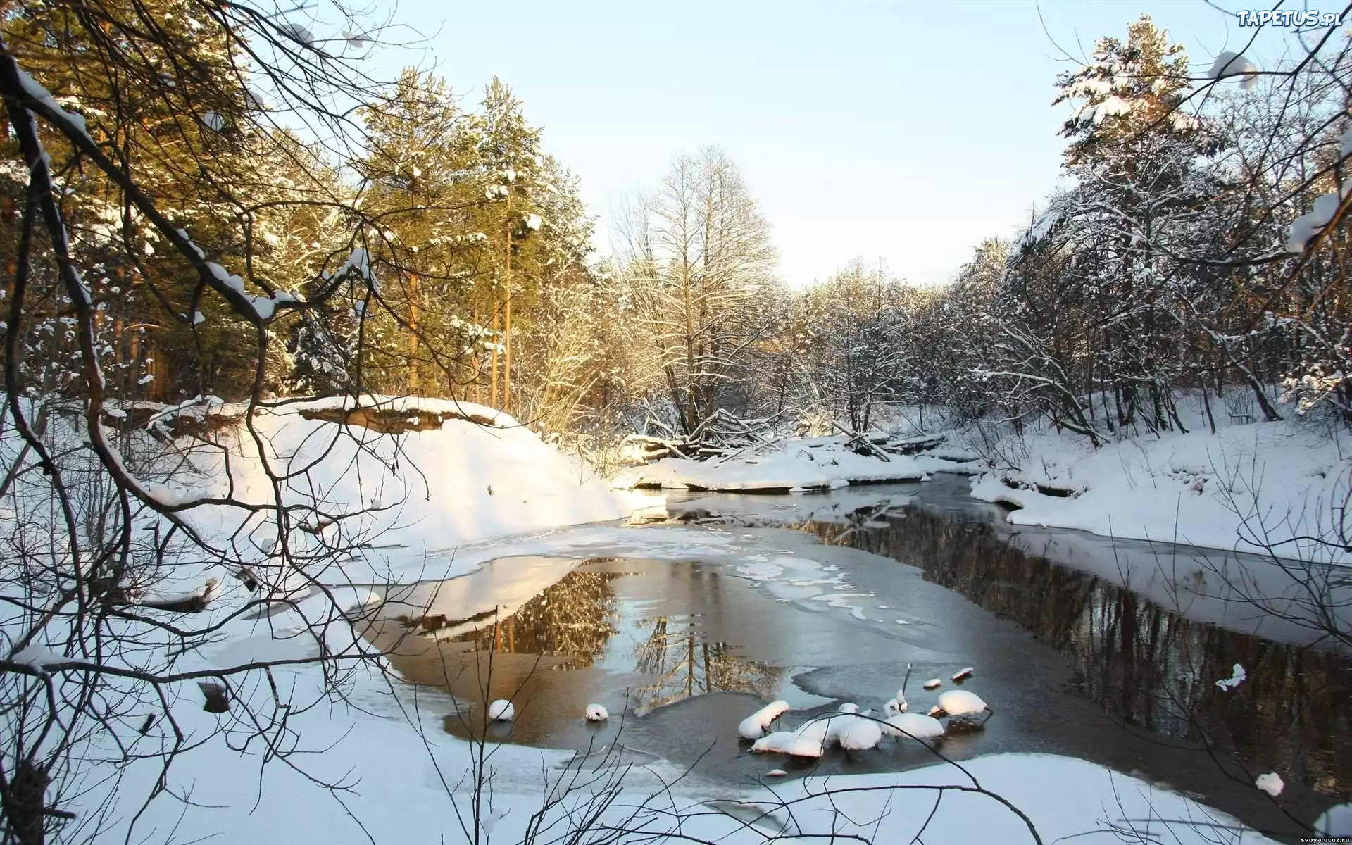 Rzeka, Śnieg, Drzewa