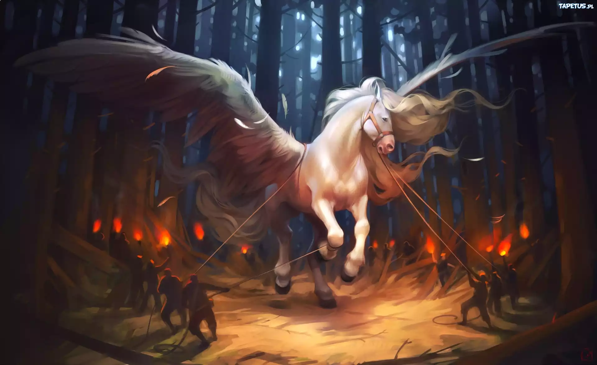 Pegaz, Skrzydlaty, Koń, Fantasy