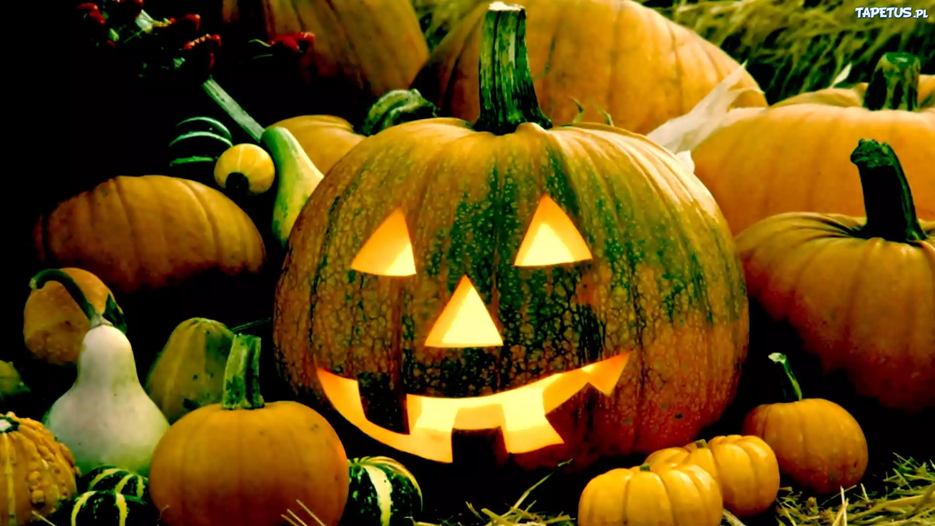 Halloween, Dynie