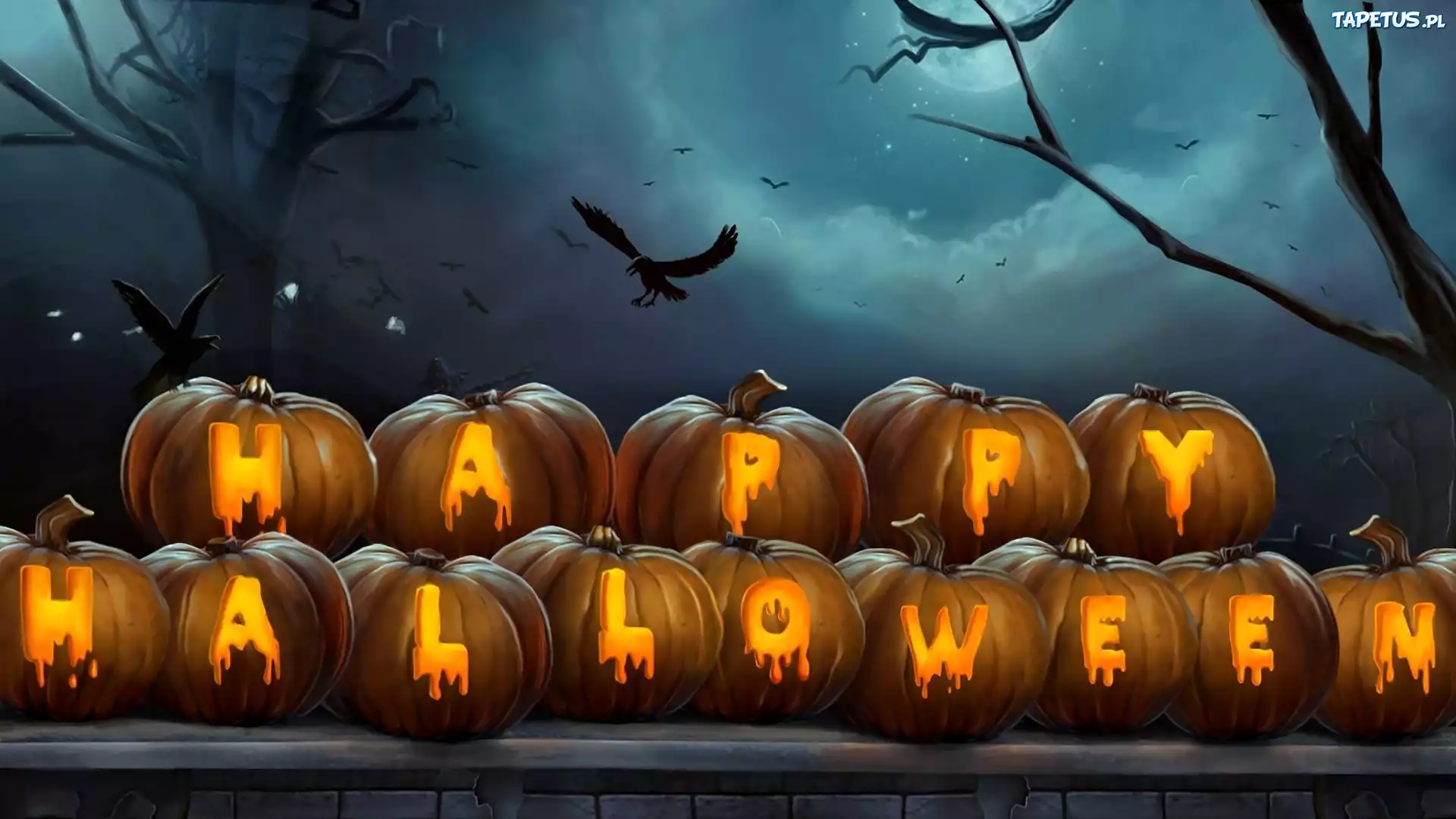 Halloween, Dynie, Napis, Noc, Drzewa, Ptaki