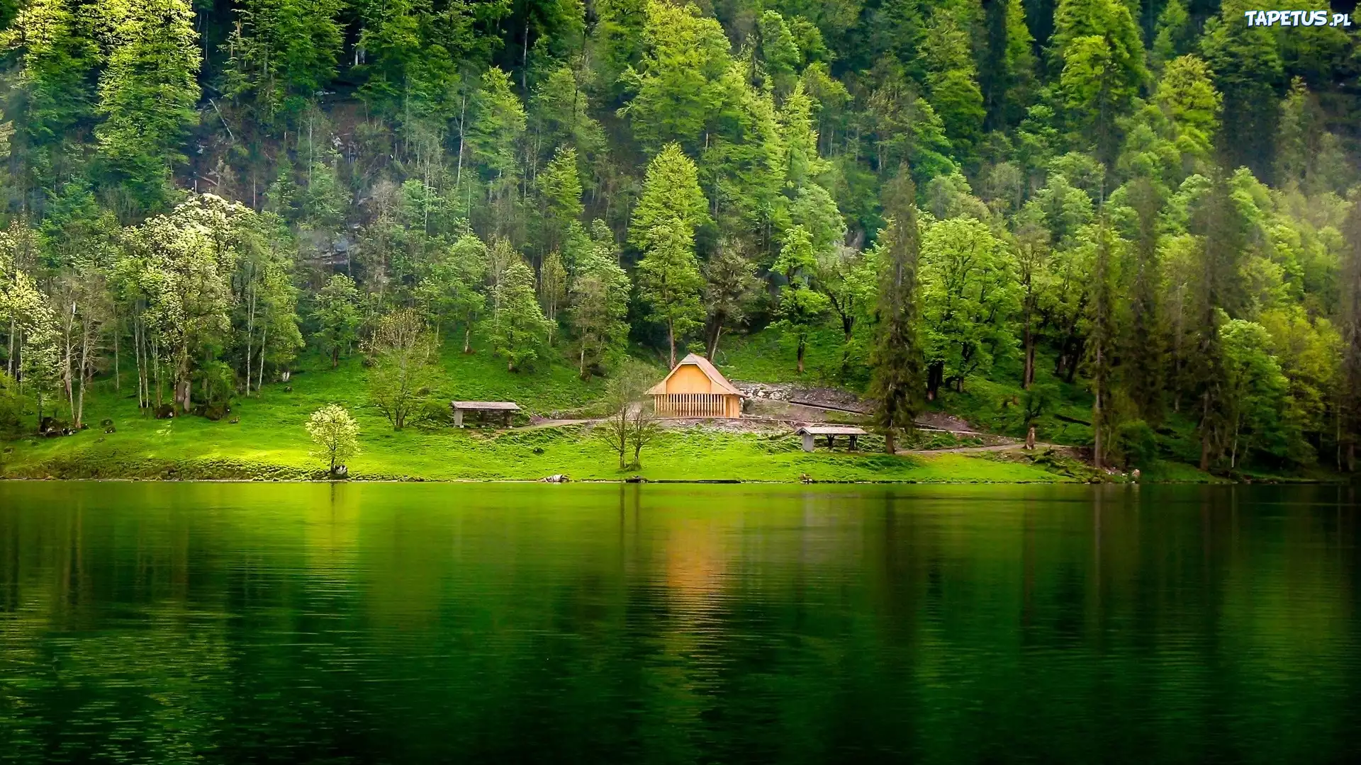 Zielone, Jezioro, Domek, Ławki, Las, Góra
