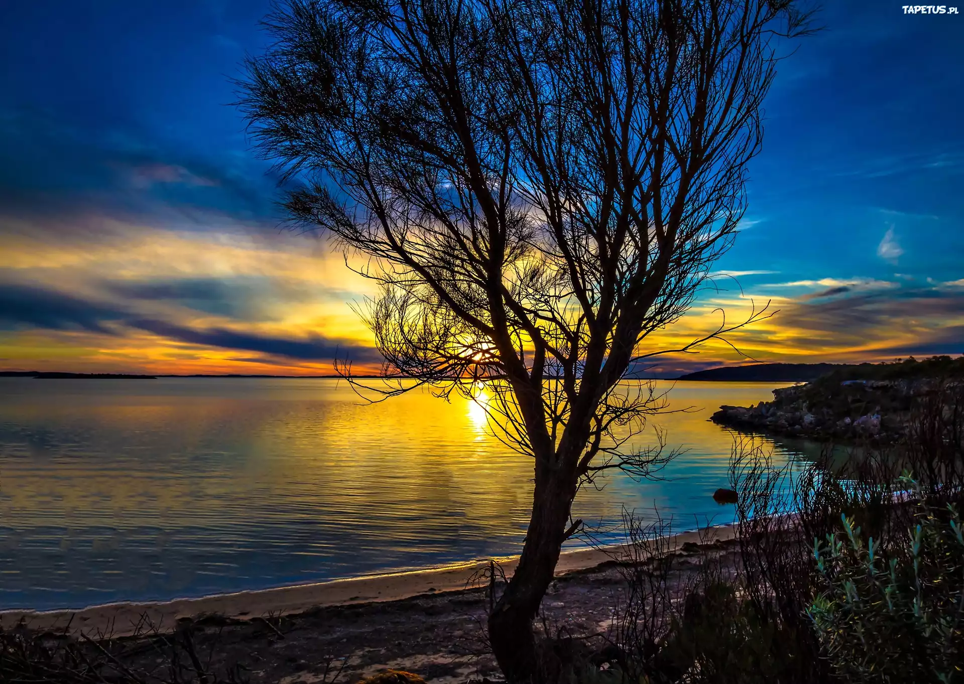 Zachód Słońca, Drzewo, Australia