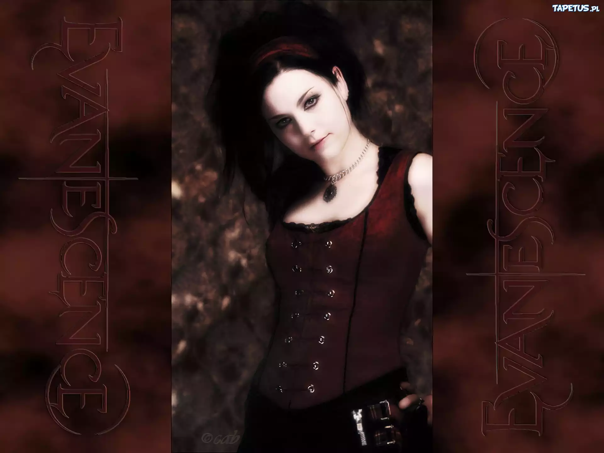 Amy Lee, Evanescence, Wokalistka