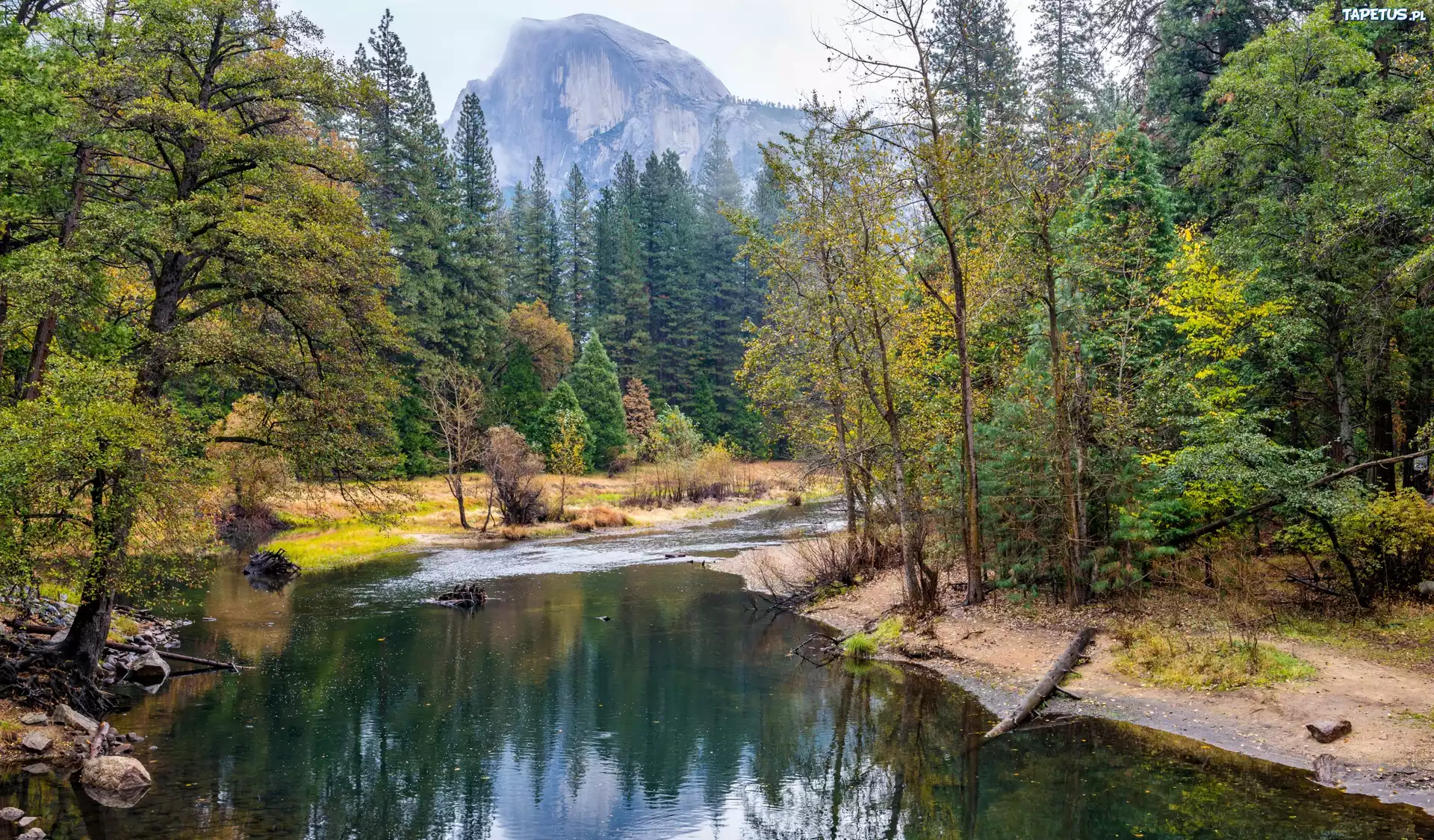 Rzeka, Park, Yosemite, Las