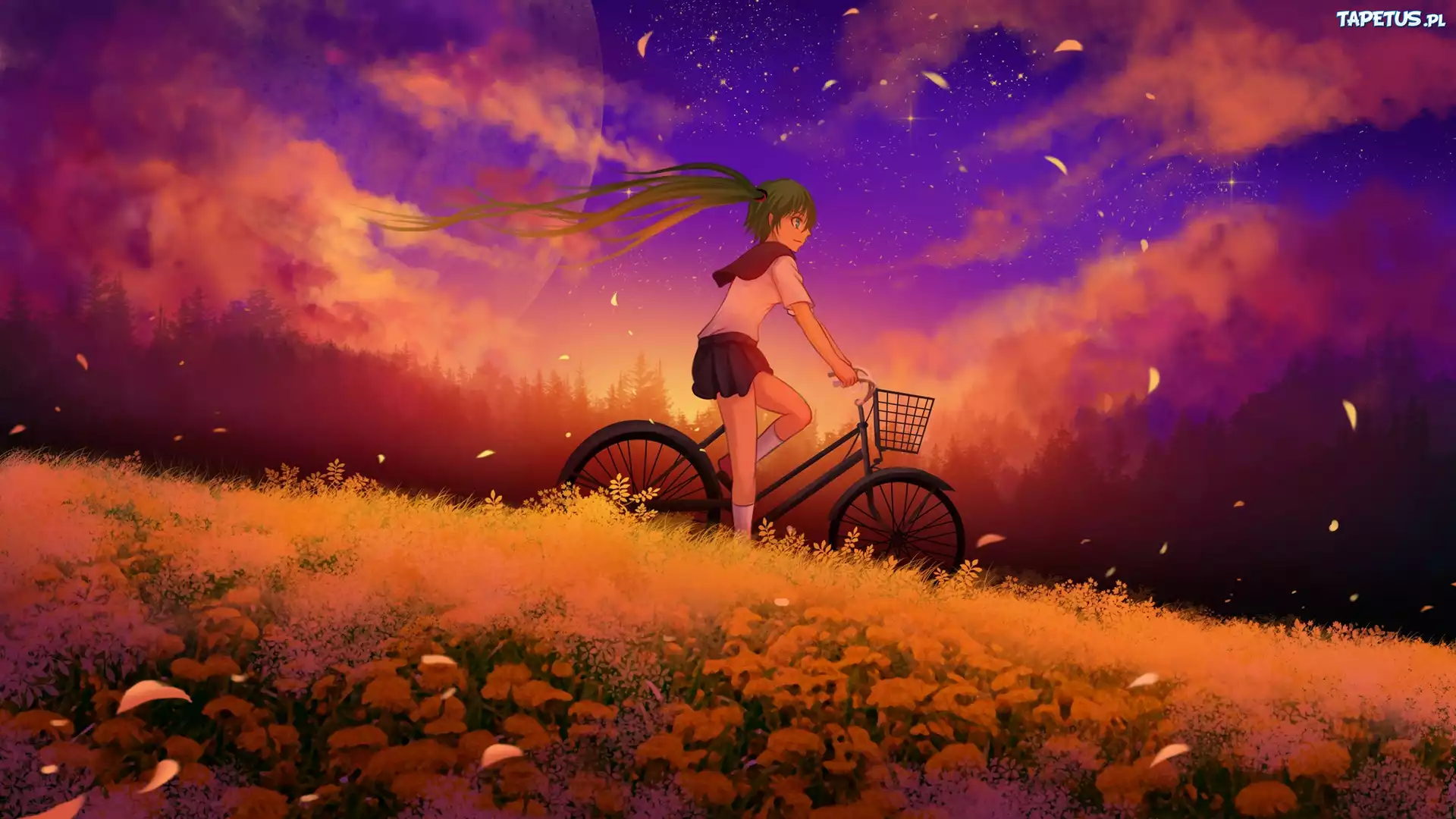 Vocaloid, Hatsune Miku