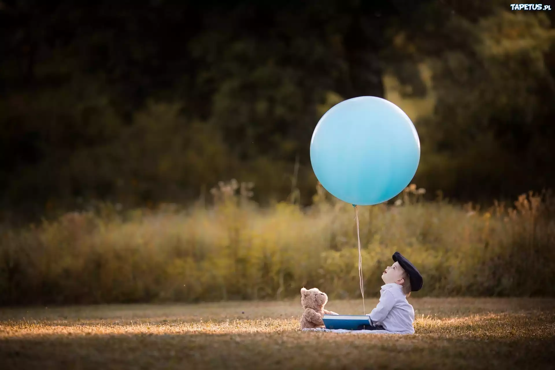 Chłopiec, Balon, Łąka, Las