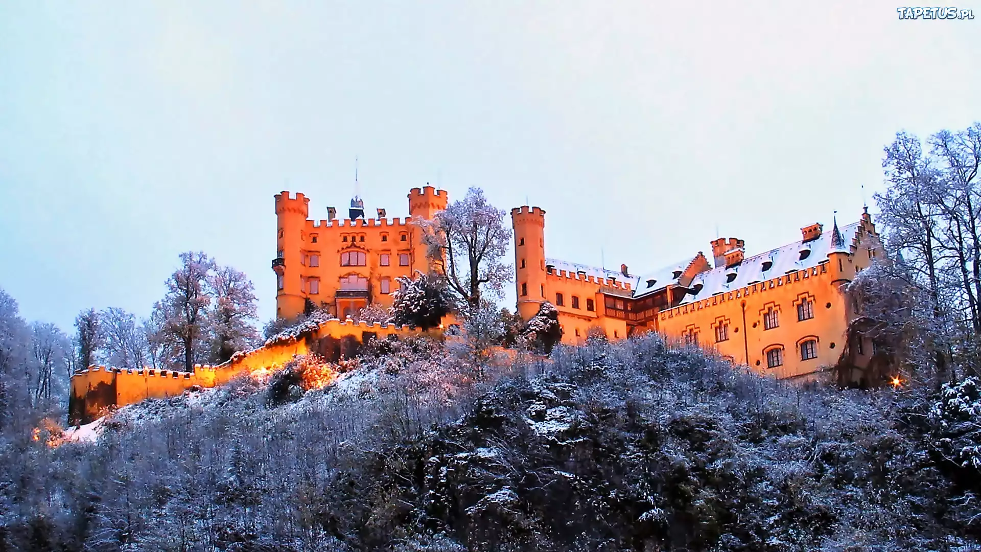 Zamek, Hohenschwangau, Zima, Drzewa, Świt