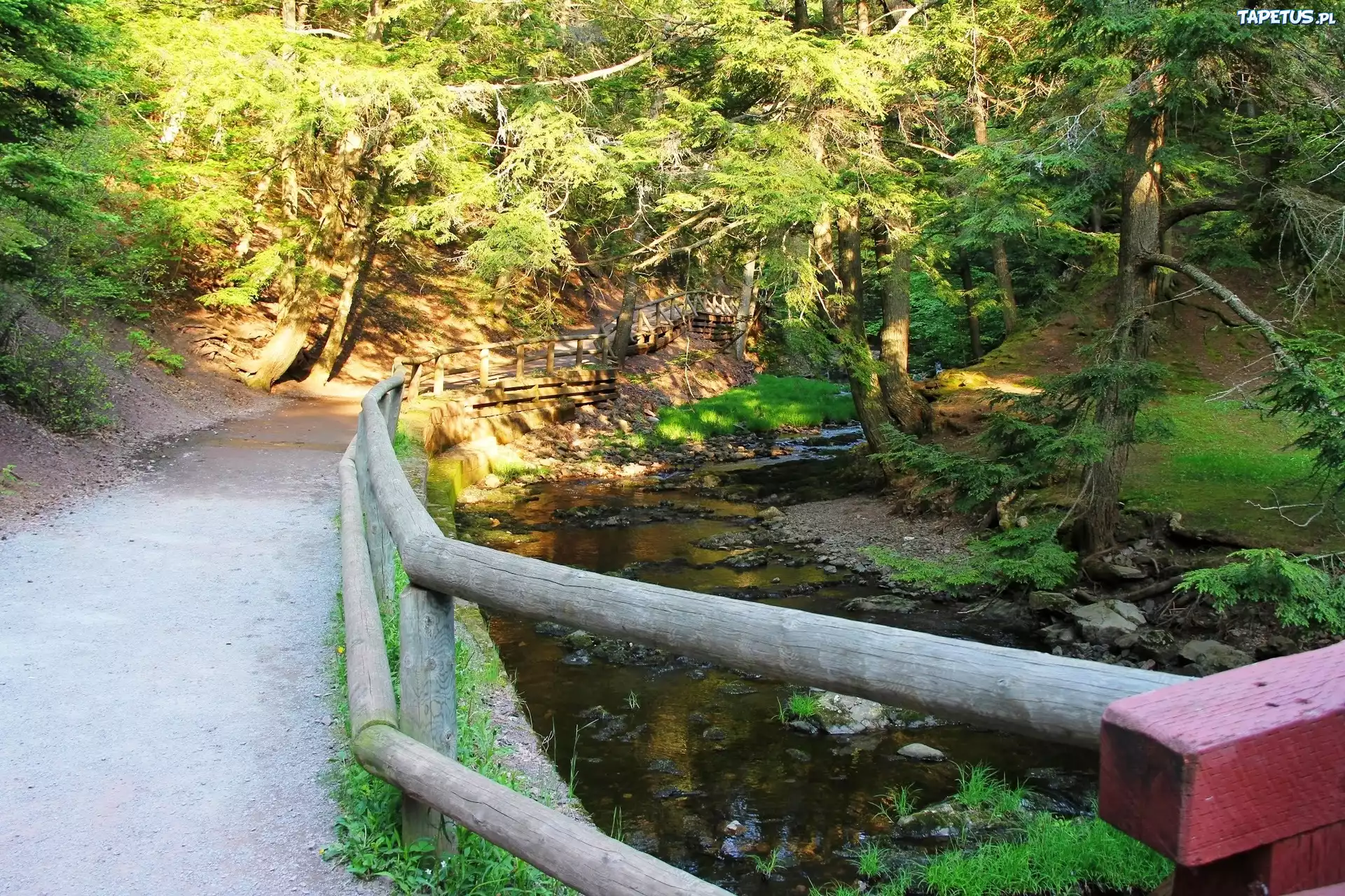 Park, Droga, Rzeczka