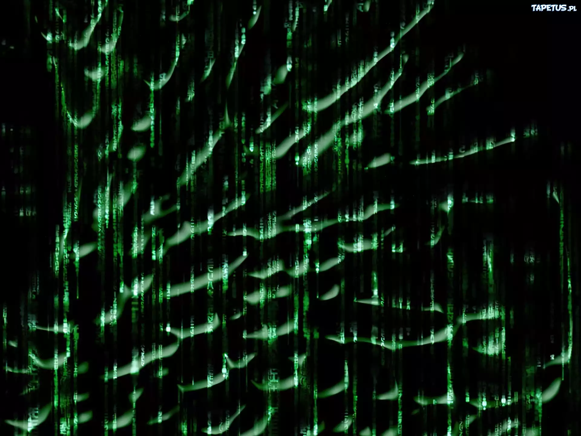 Matrix, czarne, zielone, tło