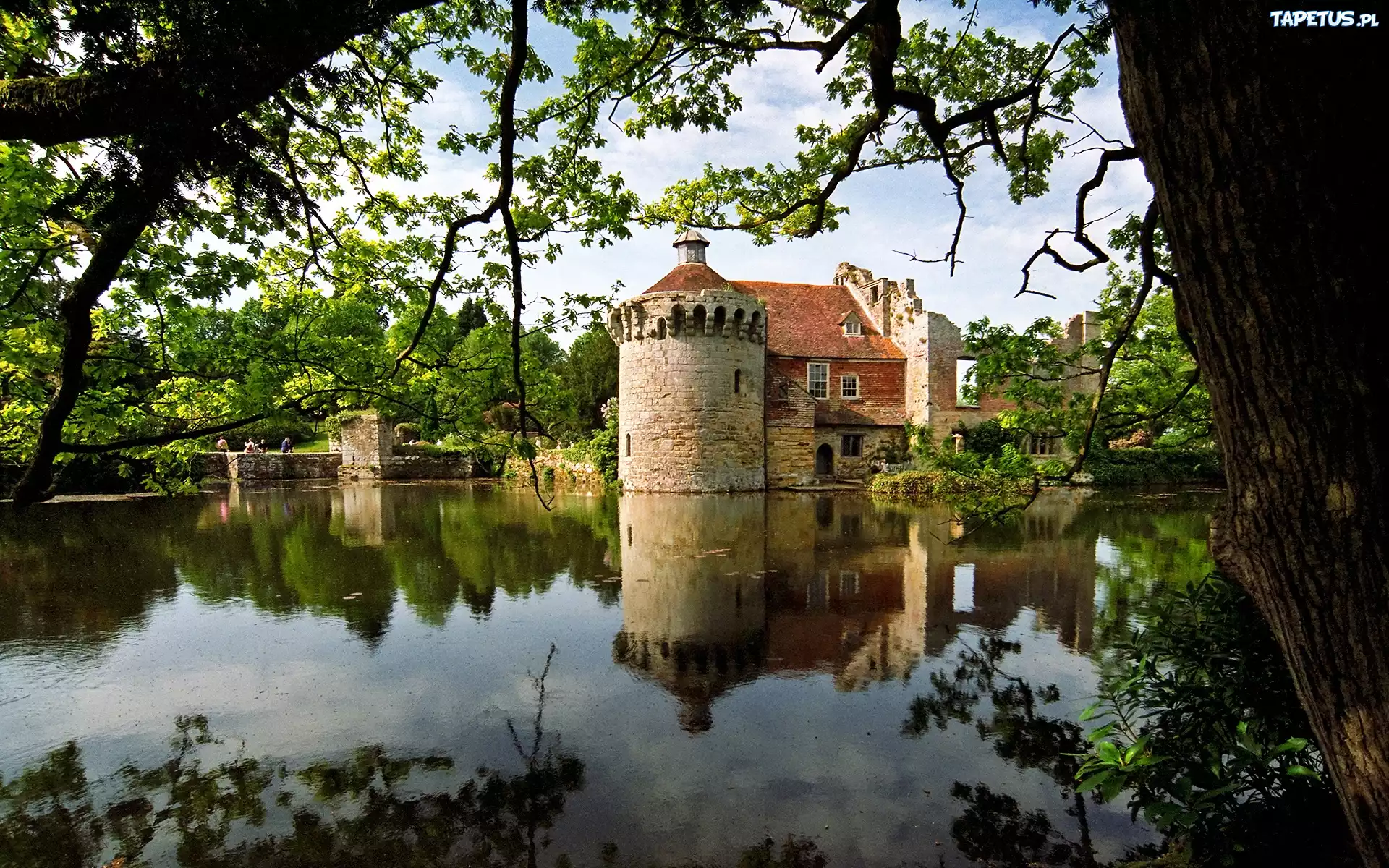 Zamek, Kent, Anglia