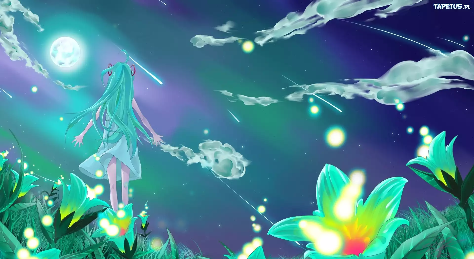 Vocaloid, Hatsune Miku, Niebo