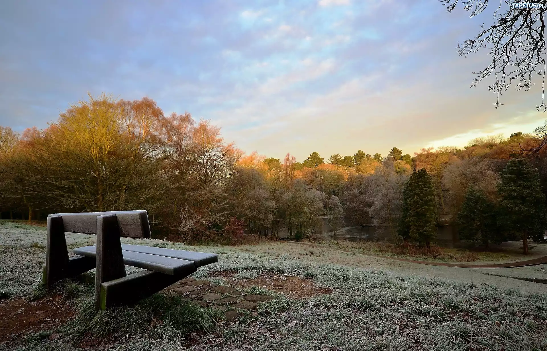 Park, Ławka, Szron