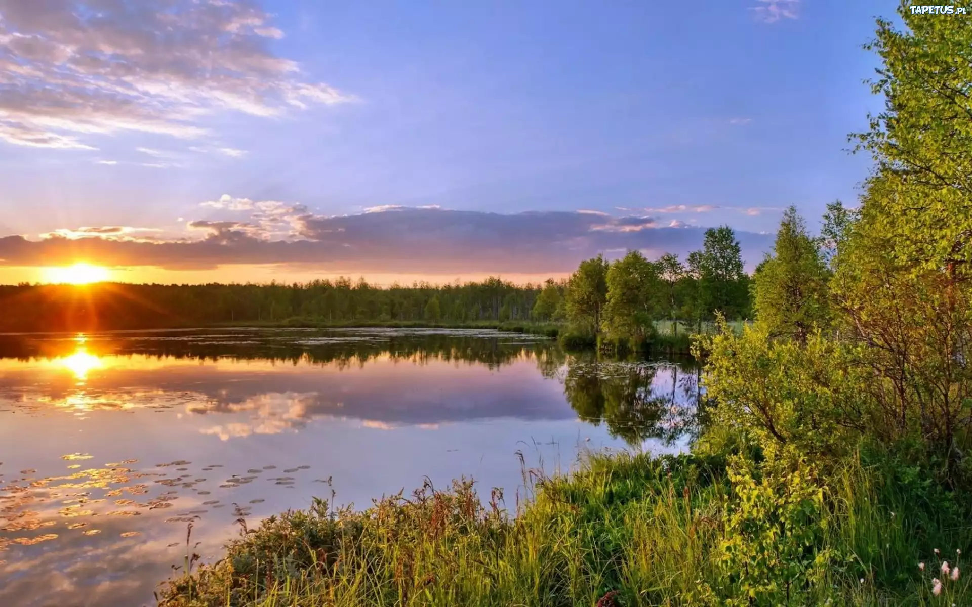 Jezioro, Las, Zachód słońca